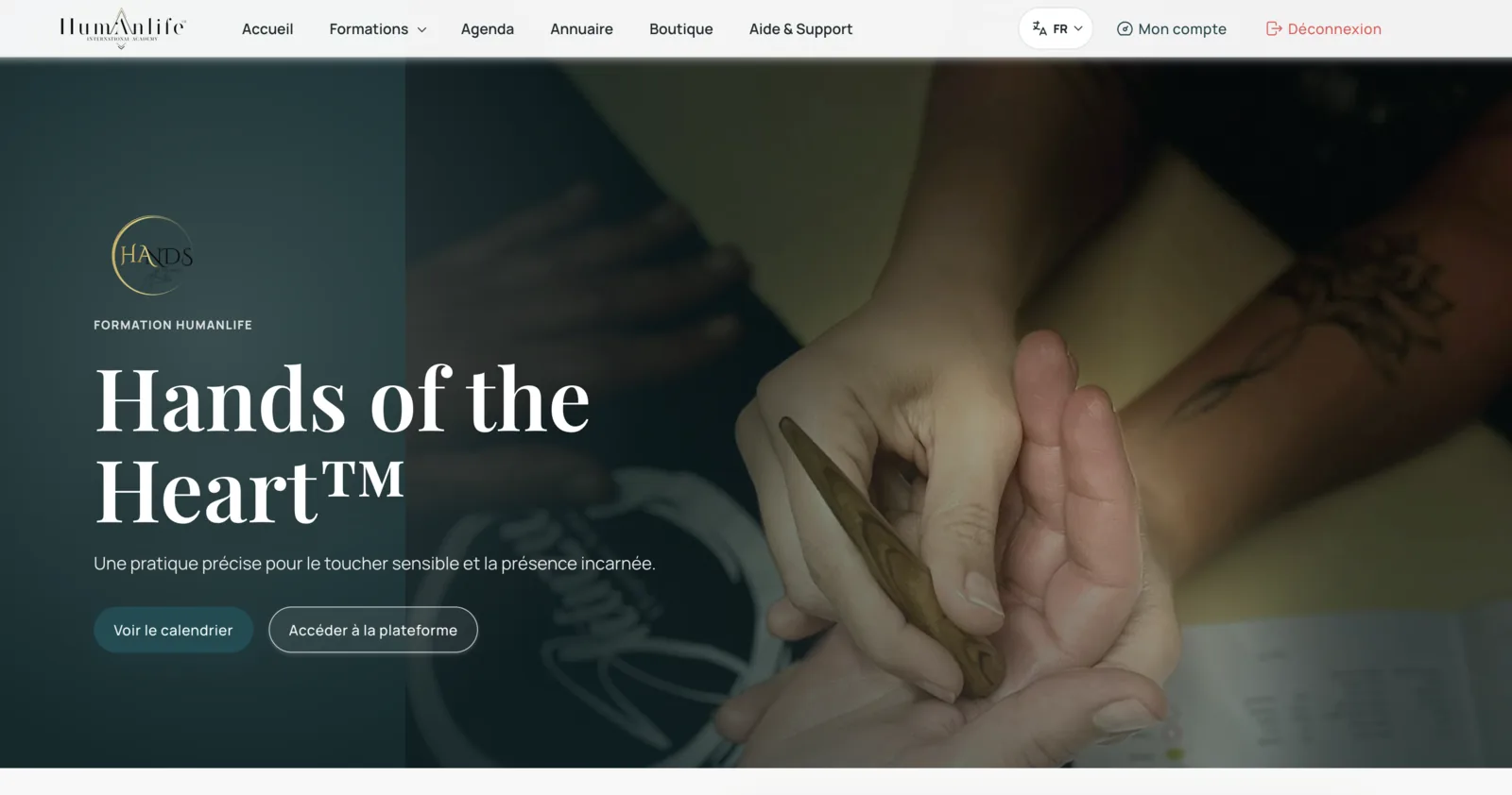 Page détaillée de la formation Hands of the Heart